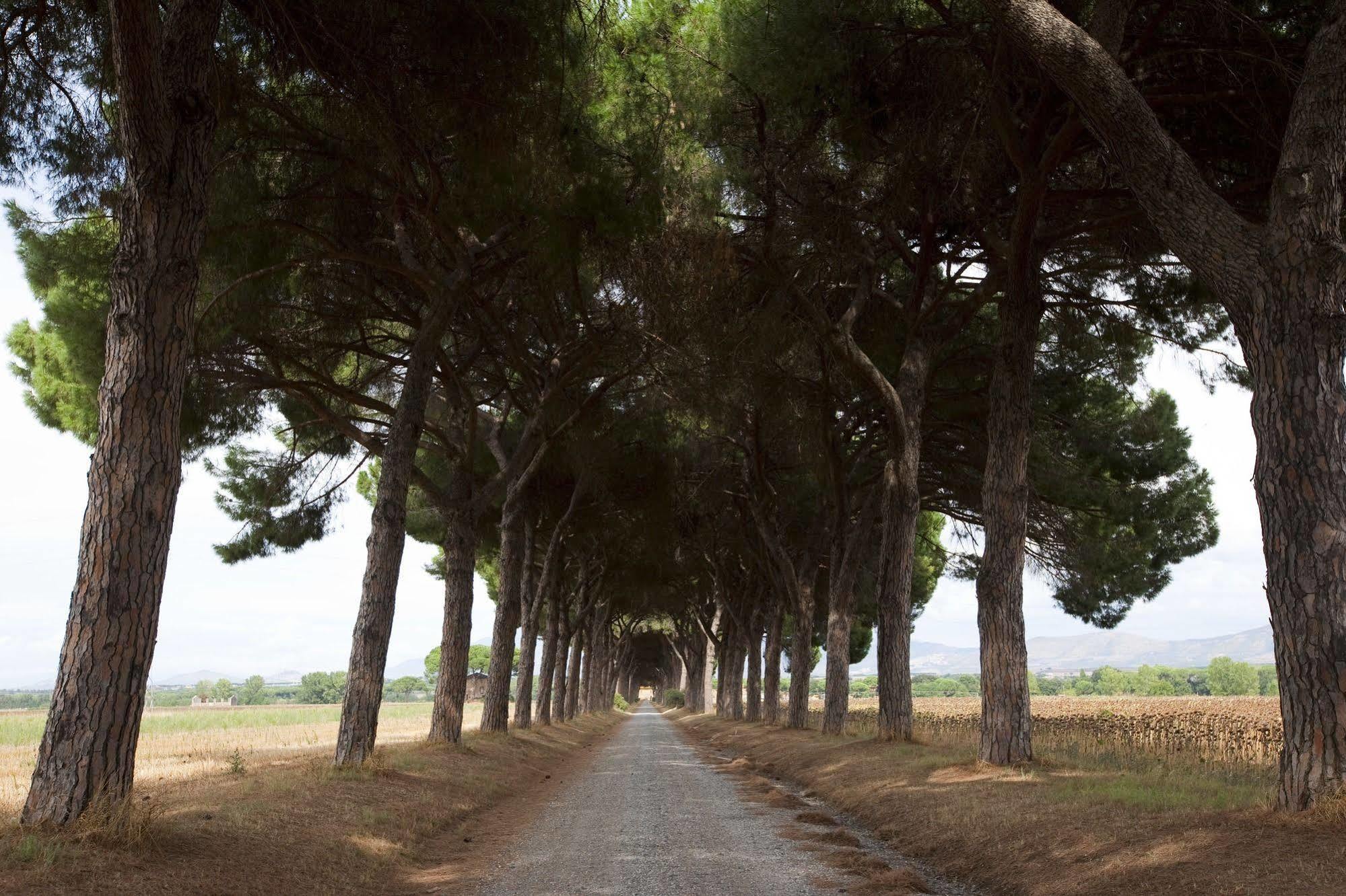 Agriturismo Pantano Borghese Monte Compatri Luaran gambar
